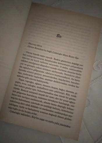 Hande Altaylı - Delice - Görsel 2