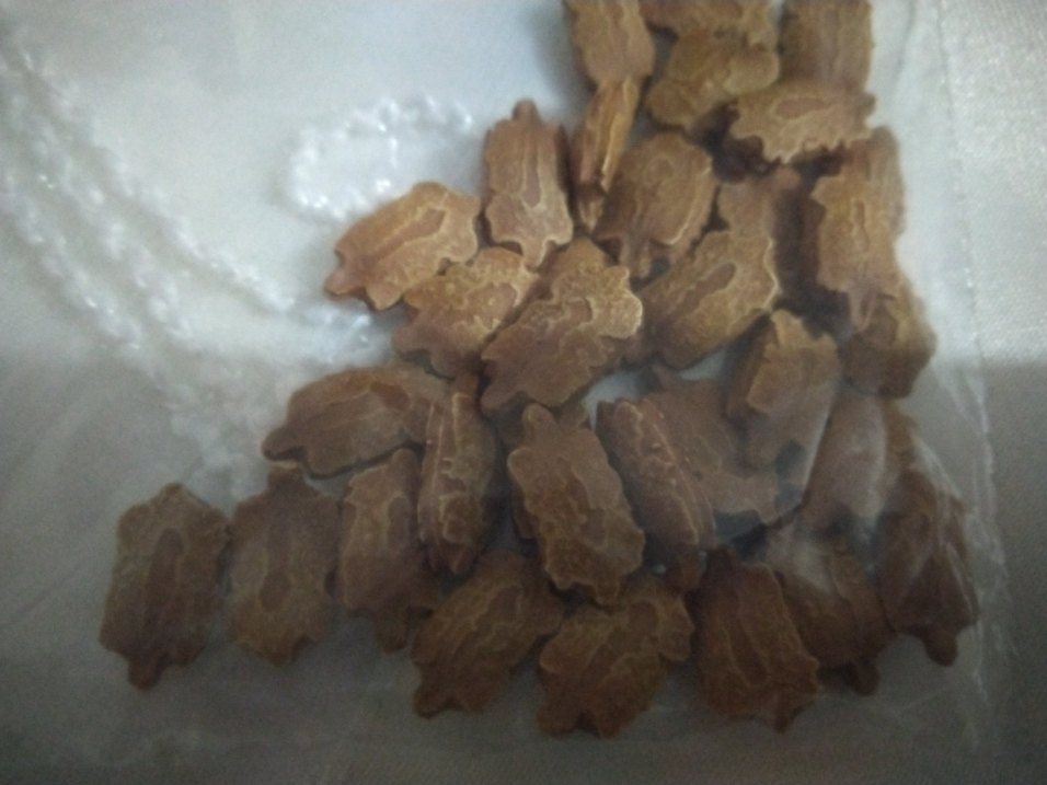 Kudret Narı Tohumu 33 Adet - Görsel 3