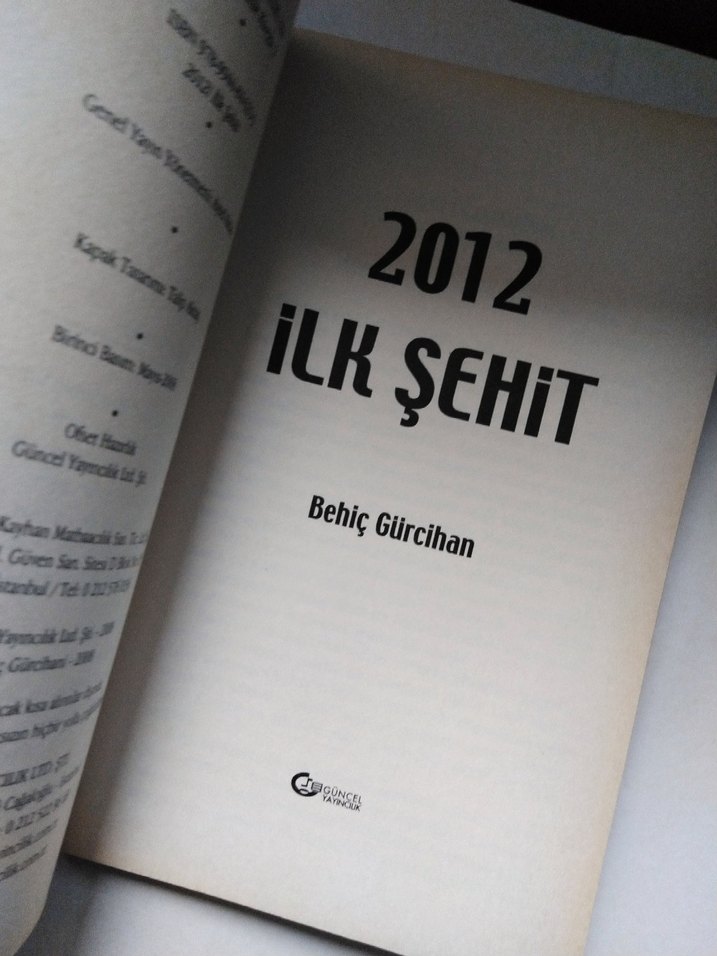 2012 İlk Şehir - Behiç Gürcihan - Görsel 2