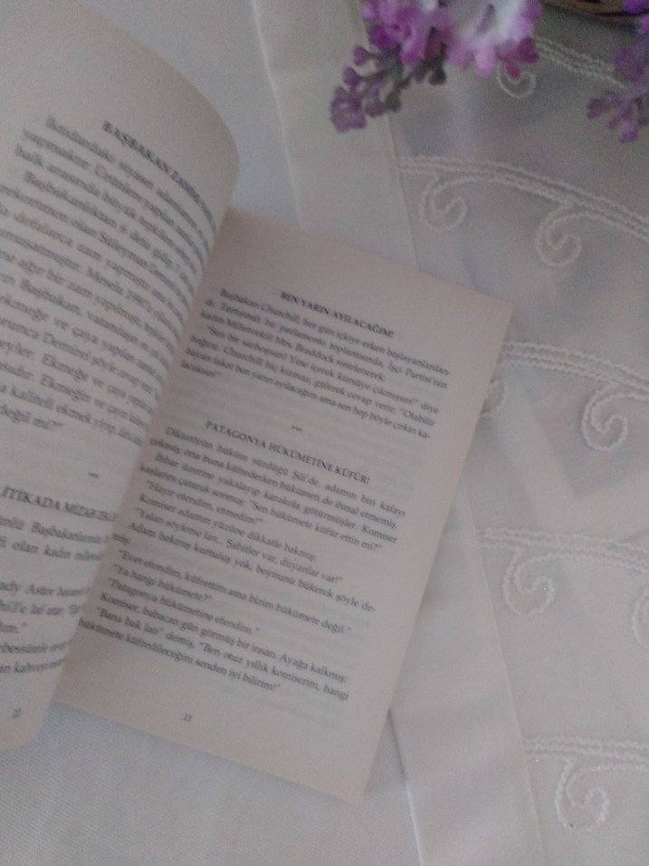 Rahmi Turan - Siyasi Fıkralar Kitabı - Görsel 2