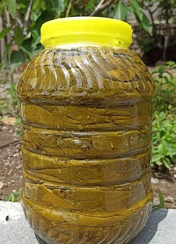 Taze salamuralarımiz