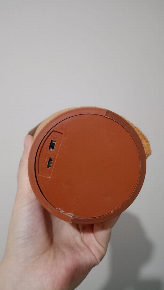 Renkli Müzikli Kaktüs Oyuncak - Görsel 2