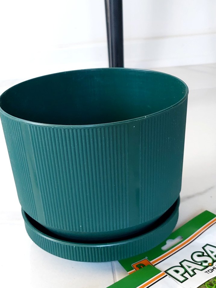 Bahçıvan Seti;Sulama Kabı,Saksı,Toprak, 2 paket tohum - Görsel 5