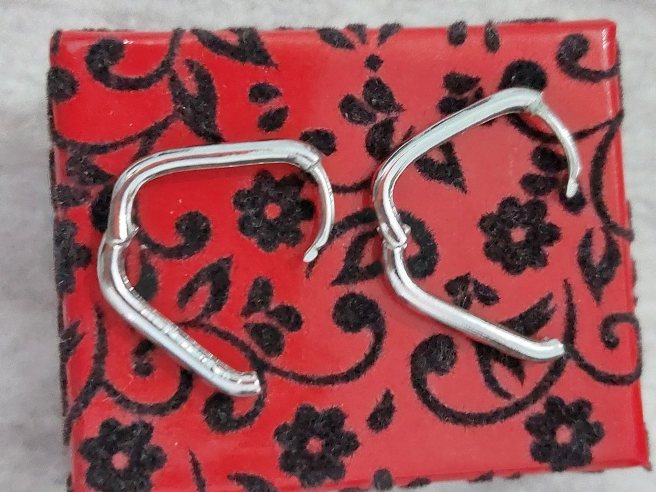 Çelik Oval  Küpe - Görsel 2