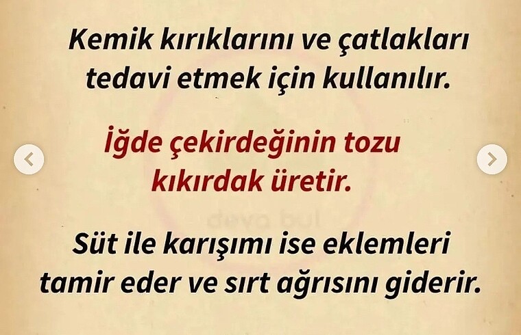 l Beden turuncu Renk İğde tozu