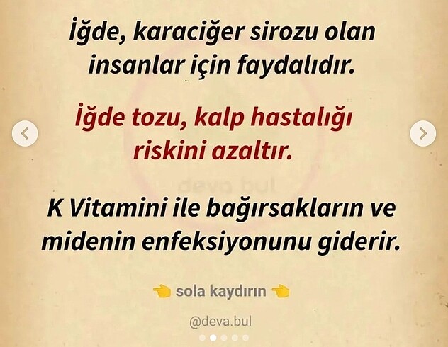 l Beden İğde tozu