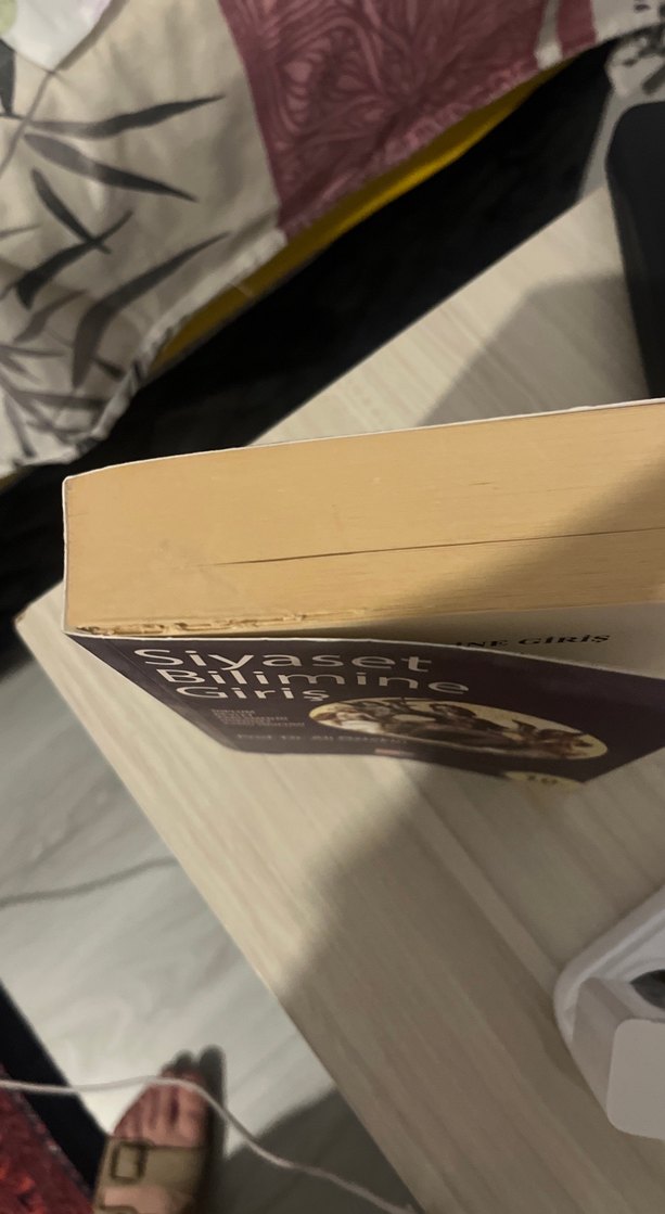 Siyaset Bilimine Giriş - Prof. Dr. Ali Öztekin - Görsel 3