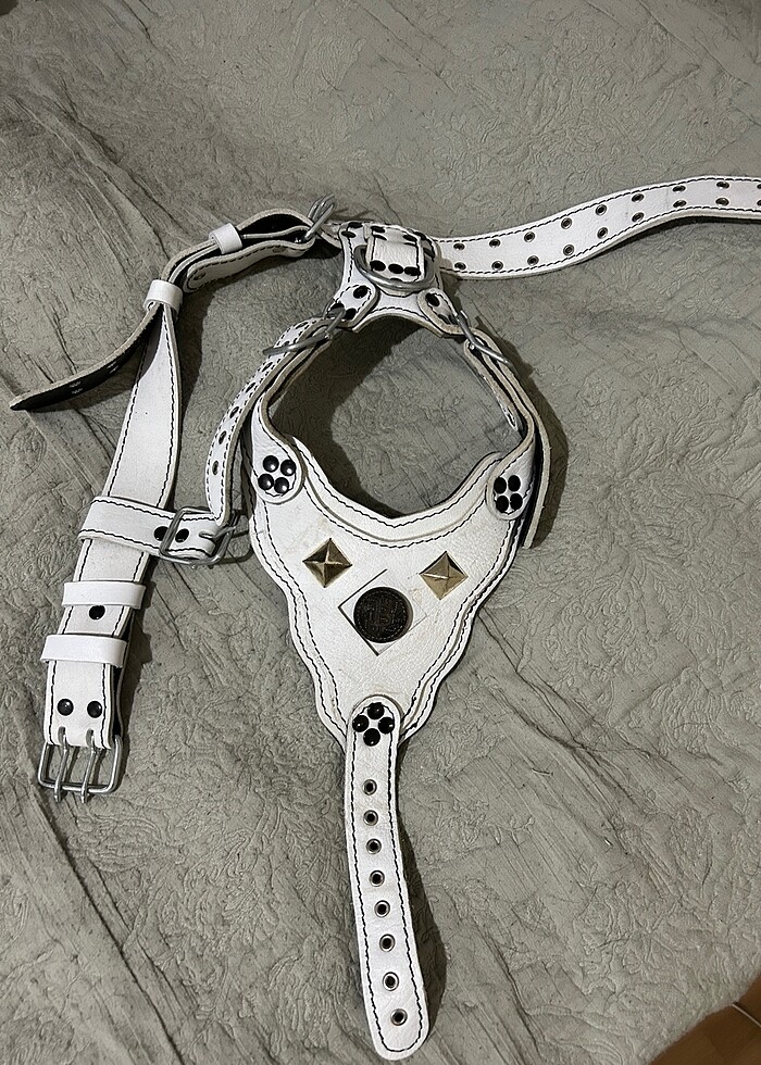 Köpek tasması - Görsel 2