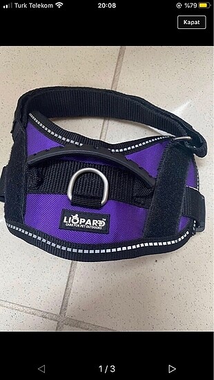 Köpek tasması