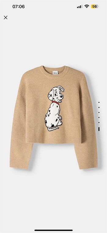 Bershka 101 dalmaçyalı kazak