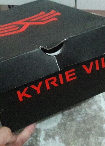Kyrie kutu