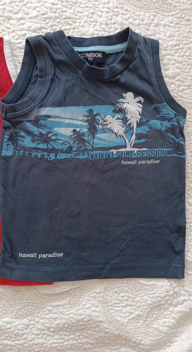 Erkek Çocuk Kolsuz Baskılı 2 adet Tişört - Görsel 2