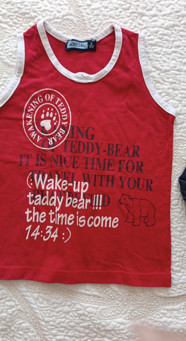 Erkek Çocuk Kolsuz Baskılı 2 adet Tişört - Görsel 3