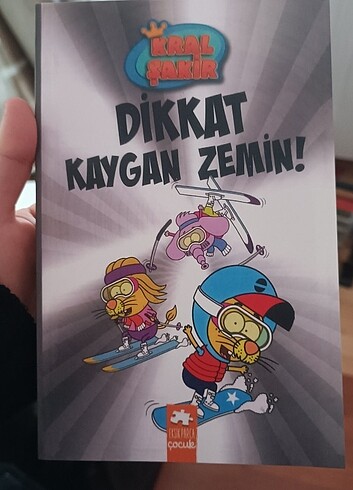 Kaygan zemin 
