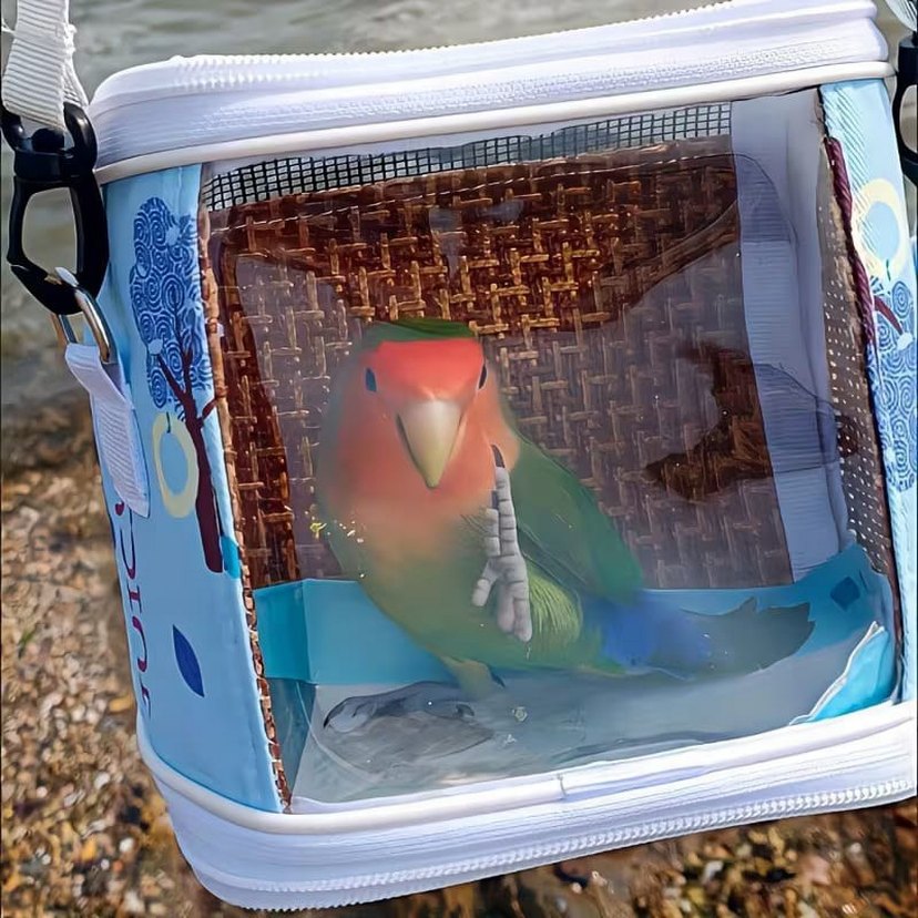 Kuş Taşıma Çantası Sıfır - Görsel 3