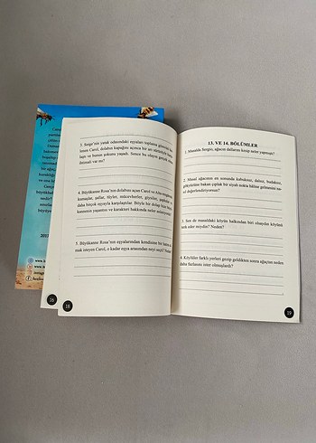 Arıların Zamanı - Eleştirel Okuma Yazma Kitabı ile - Görsel 3