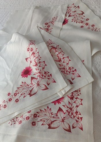 English Home Nakışlı Beyaz Pastel dolap örtüsü 10 parça