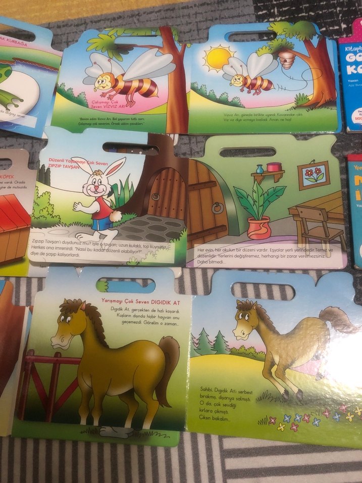 Hayvanlar Alemi Çocuk Kitabı Seti - Görsel 2