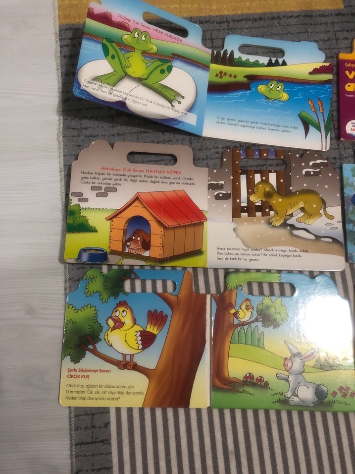 Hayvanlar Alemi Çocuk Kitabı Seti - Görsel 3