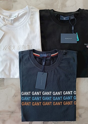 Tommy Hilfiger LACOSTE/GANT/TOMMY HİLFİGER TİŞÖRTLER