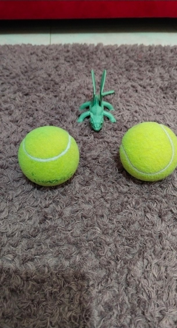 Yeşil Ejderha Oyuncak ve Tenis Topları - Görsel 3