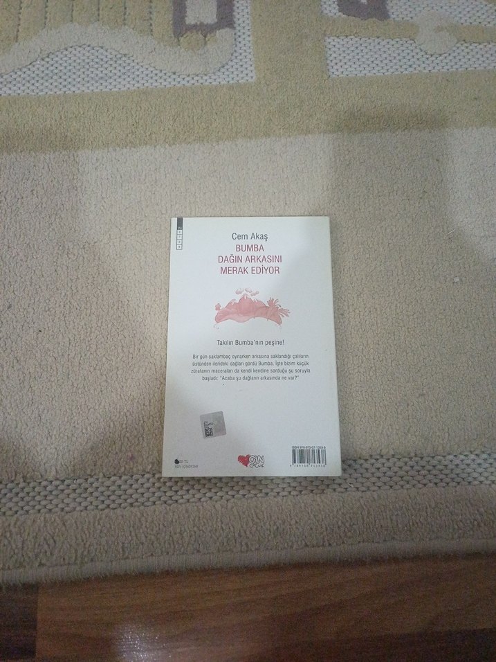 Bumba Dağın Arkasını Merak Ediyor - Cem Akaş - Görsel 2
