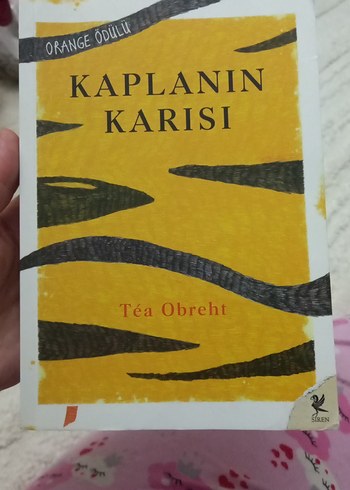 Roman kitap