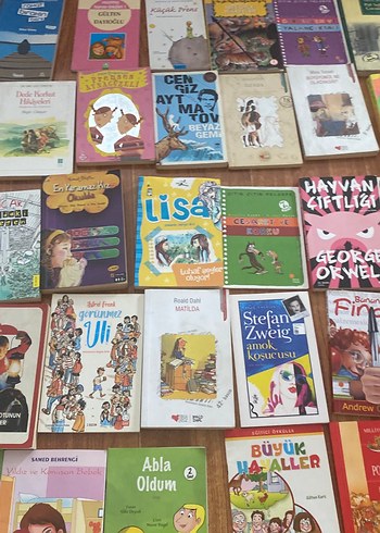 Çocuk Kitapları Koleksiyonu - Görsel 6