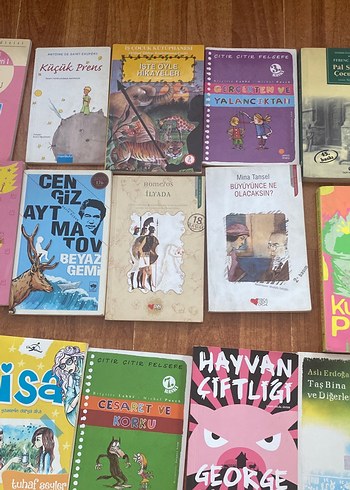 Çocuk Kitapları Koleksiyonu - Görsel 9
