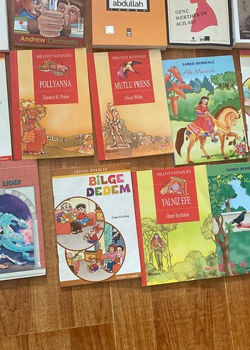Çocuk Kitapları Koleksiyonu - Görsel 11