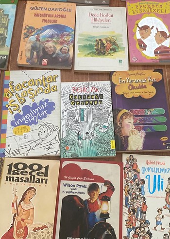 Çocuk Kitapları Koleksiyonu - Görsel 12