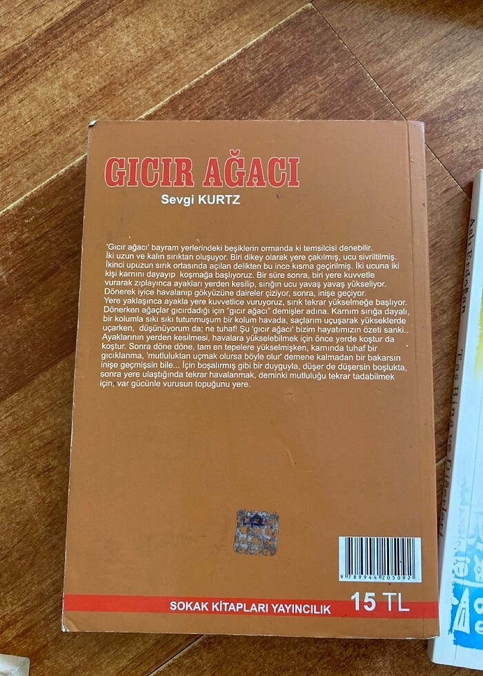 Güzel kitaplar - Görsel 3