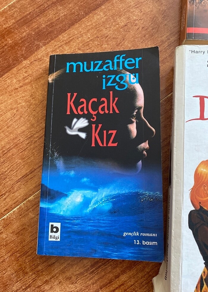 Güzel kitaplar - Görsel 2