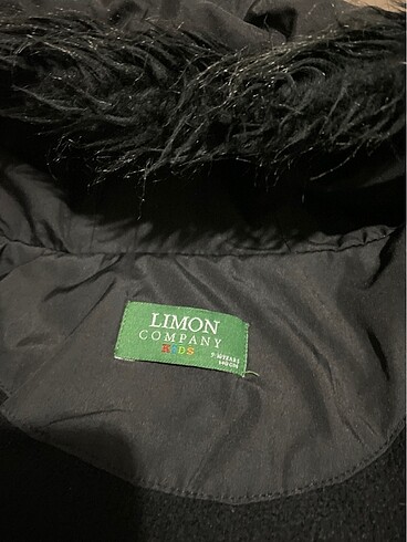 Limon markası - Görsel 5