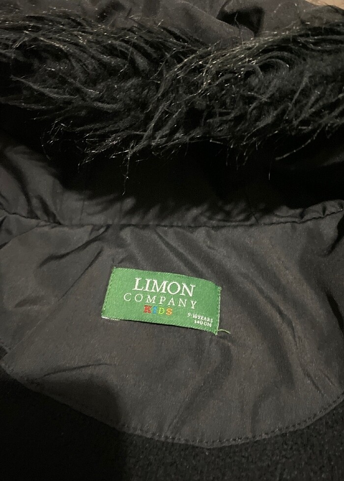 Limon markası - Görsel 5