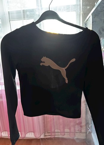 Puma crop body