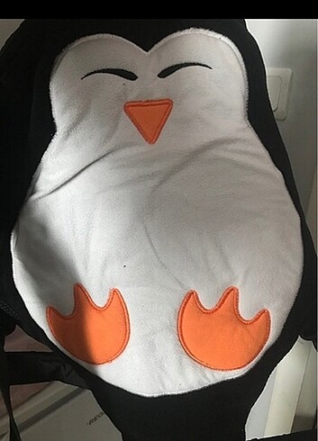 Bebek ana koca