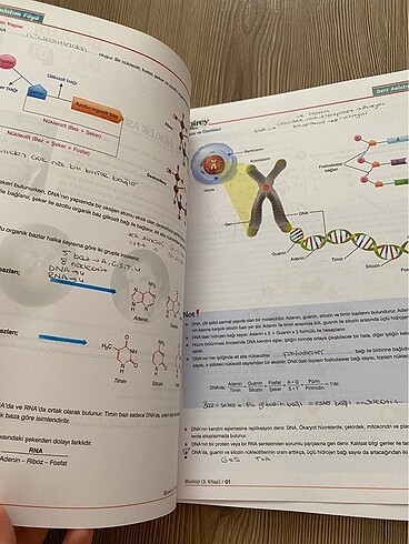  Biyoloji konu anlattığımı