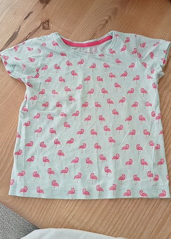 Kız Çocuk Pembe Flamingo Baskılı Tişört - Görsel 4