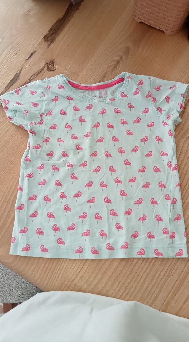 Kız Çocuk Pembe Flamingo Baskılı Tişört - Görsel 4