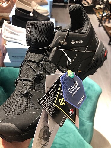 Salomon
