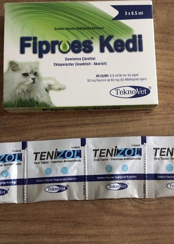 kedi dış parazit