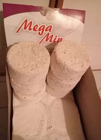 MİNERAL KUŞ KUMU GAGA TAŞI 36 ADET 