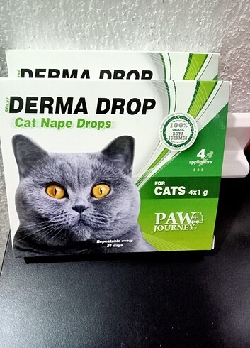 Kedi köpek dış parazit