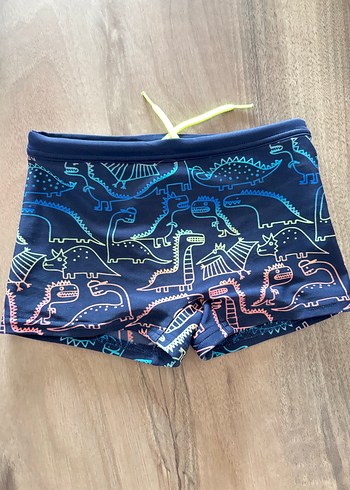 Erkek Çocuk Çok Renkli Dinozor Desenli Mayo - Görsel 4