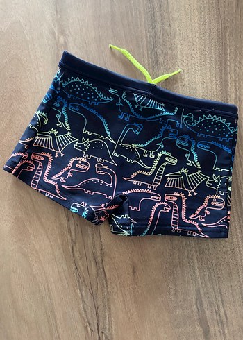 Erkek Çocuk Çok Renkli Dinozor Desenli Mayo - Görsel 3