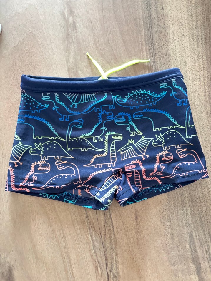 Erkek Çocuk Çok Renkli Dinozor Desenli Mayo - Görsel 4