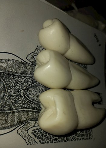 sabundan diş - Görsel 4