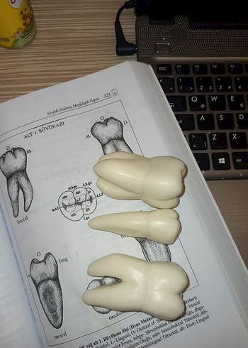 sabundan diş - Görsel 3