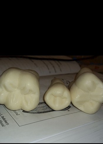 sabundan diş - Görsel 2